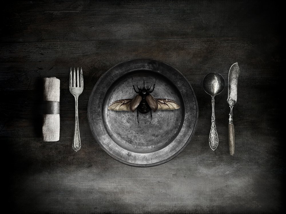 Una inquietante comida a base de escarabajos de Jeffrey Hummel