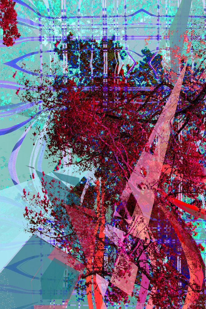 Naturaleza abstracta y dinámica de Jenja Braun