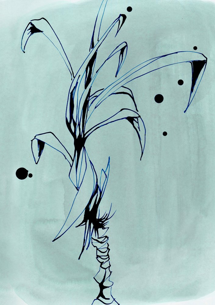 Dibujo minimalista de una planta de Jenja Braun