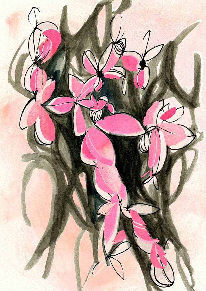 Flores abstractas rosas de Jenja Braun