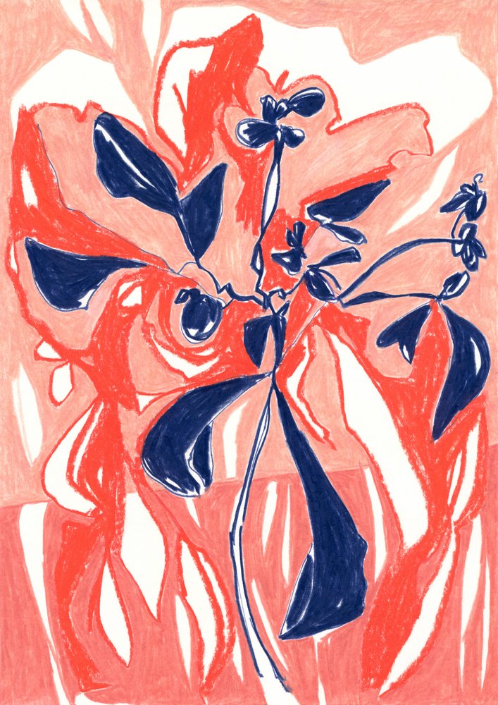 Plantas de coral de colores vivos de Jenja Braun