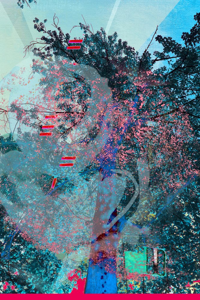 El bosque de los sueños vibrantes de Jenja Braun
