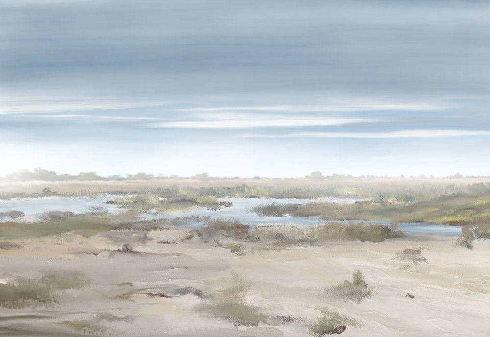 Paisaje de un humedal brumoso de Jenna Alheit