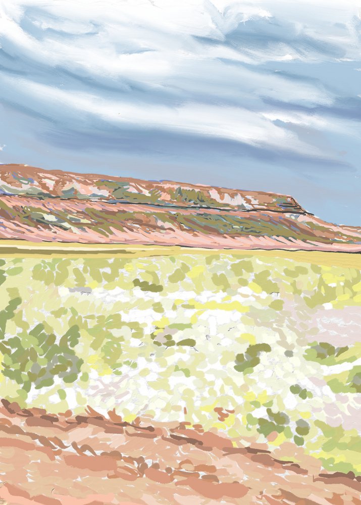 Southwest Mesa Vista de Jenna Alheit
