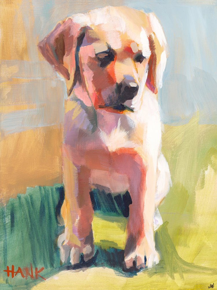 Hank de Jenny Westenhofer