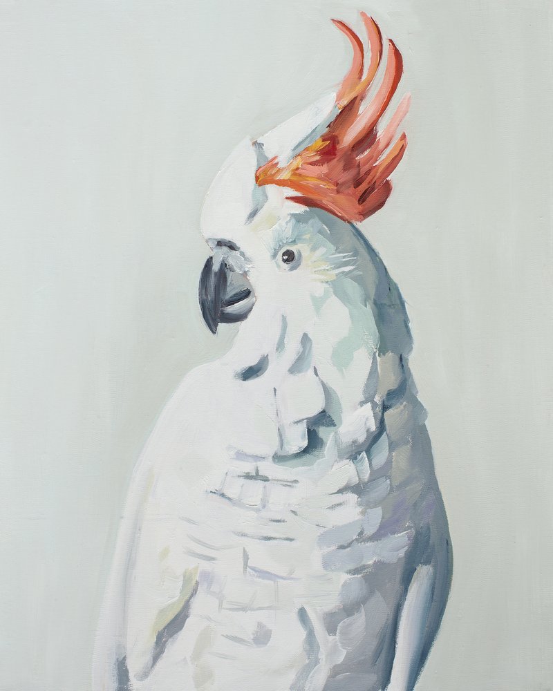  de Jenny Westenhofer