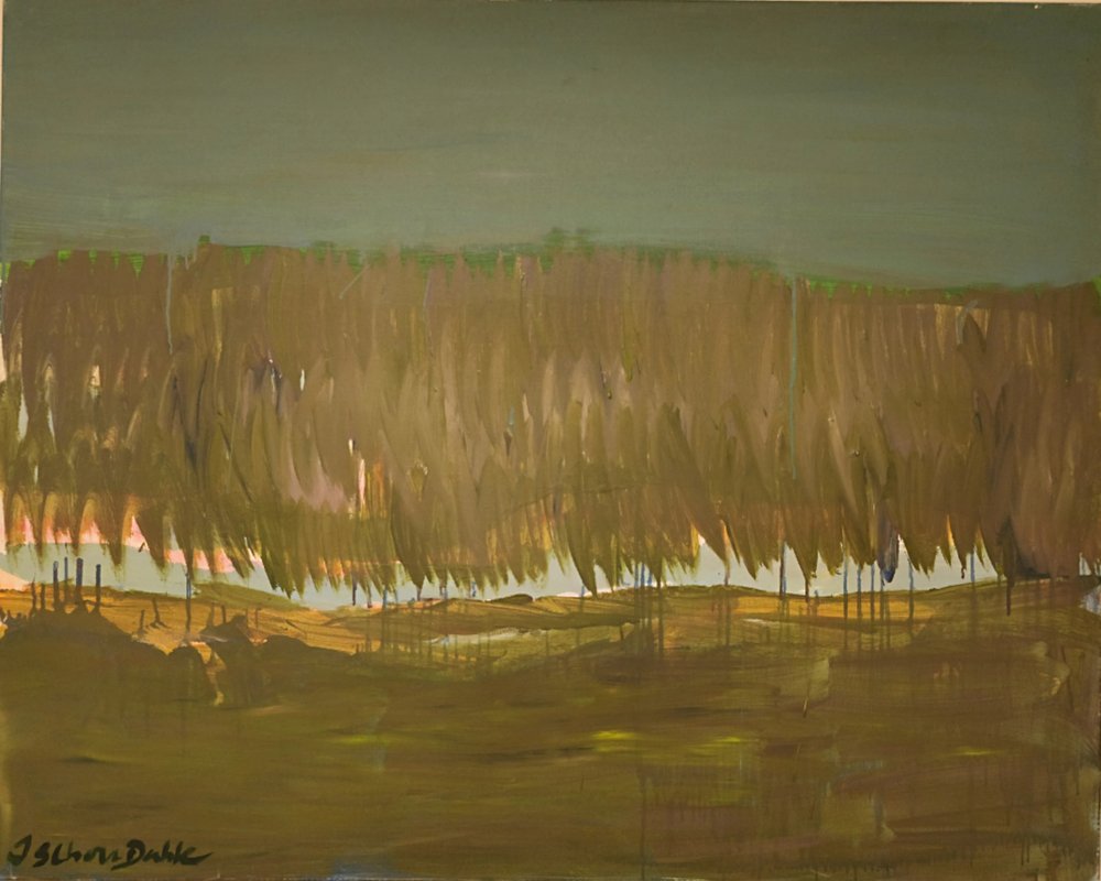 Extenso paisaje pantanoso de Joackim Schou Dahle