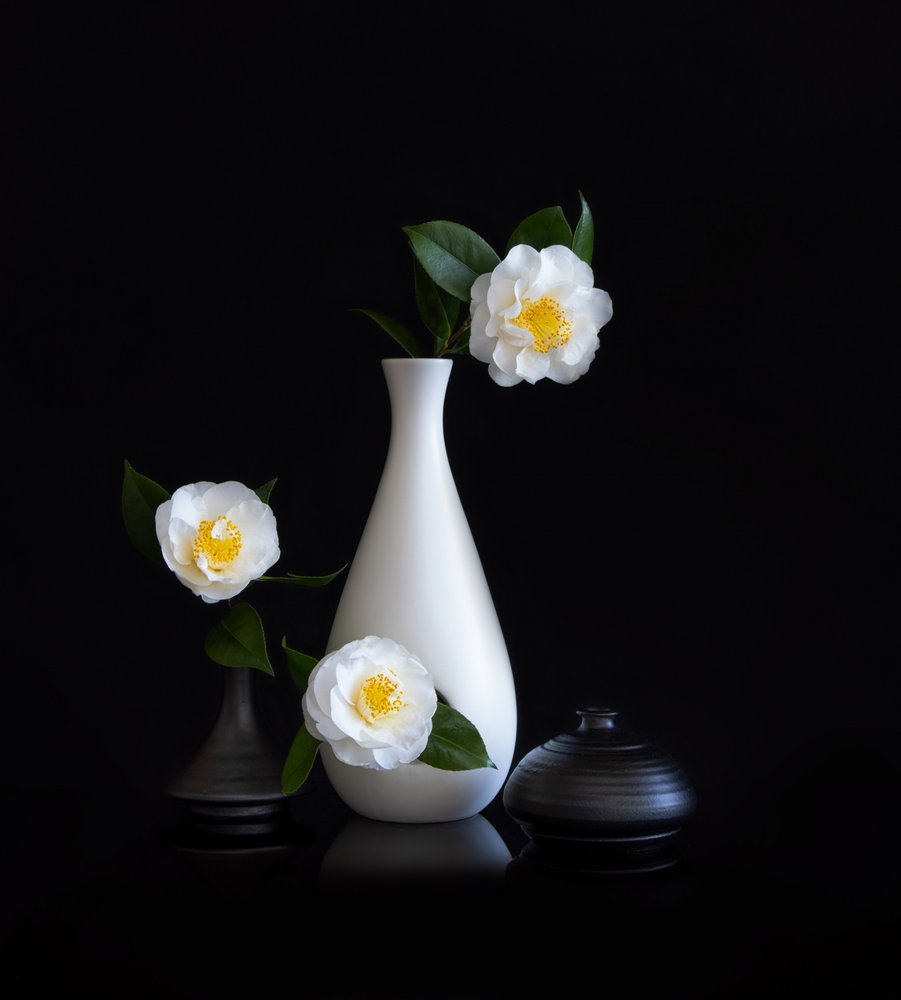 Naturaleza muerta con camelias blancas de Joanna W
