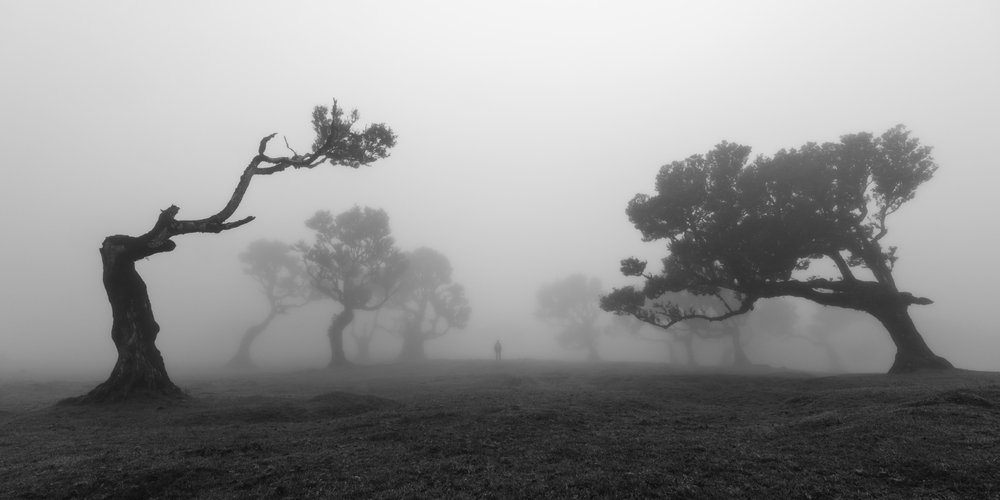  de Jochen Bongaerts