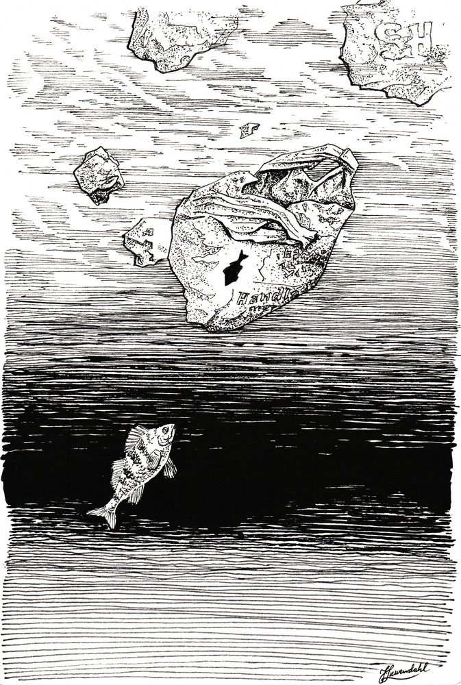 Peces bajo el plástico de Johan Liewendahl