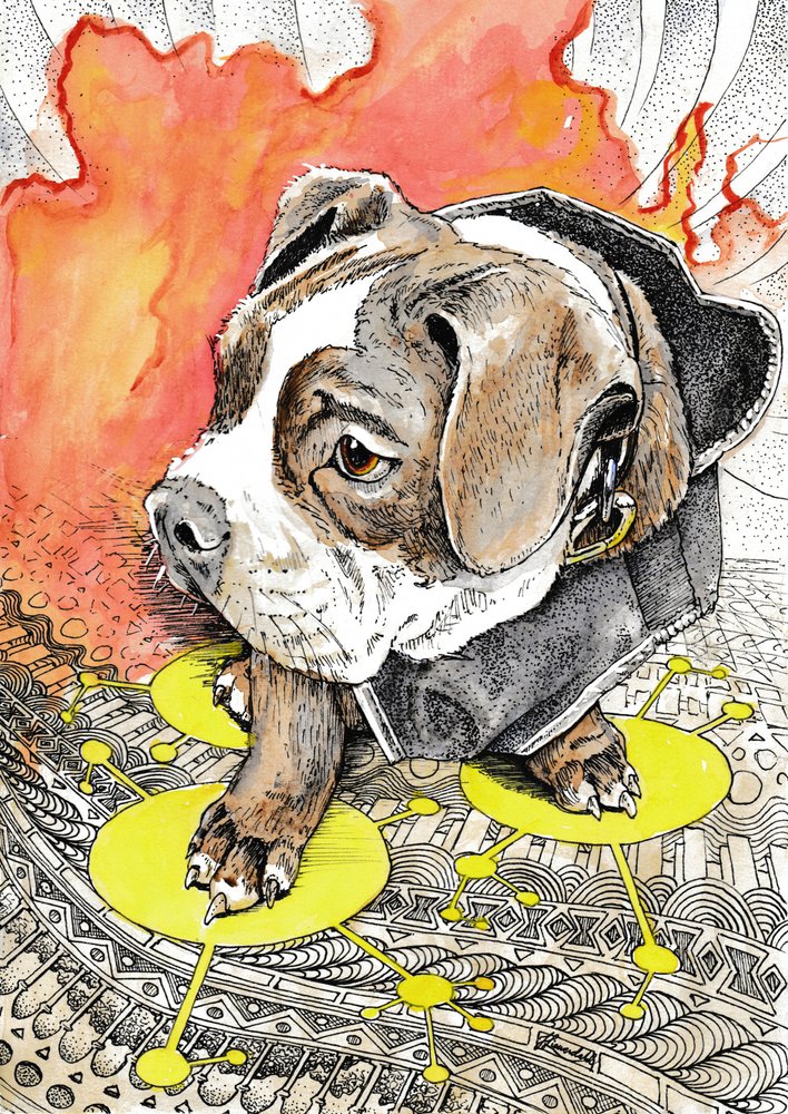 El apasionante viaje del cachorro de Johan Liewendahl