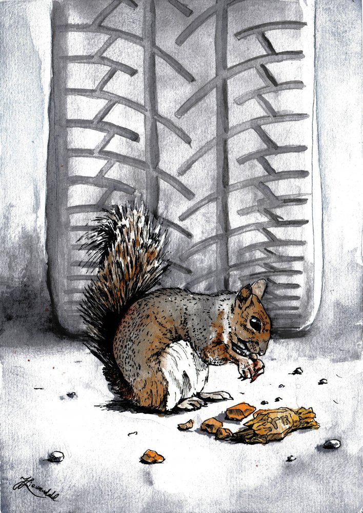 «Squirrel», de Tire Track de Johan Liewendahl