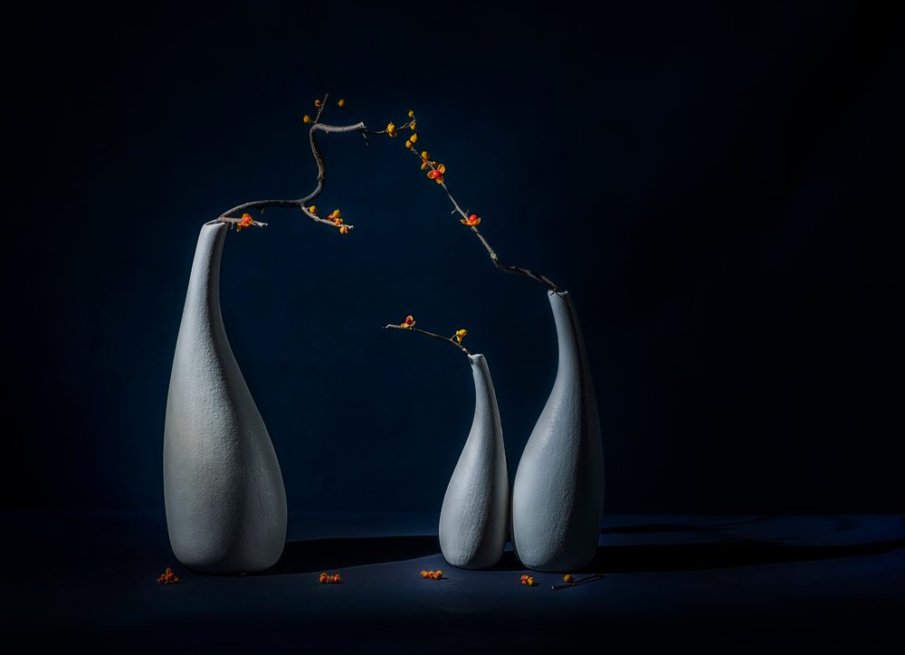 Jarrones elegantes con flores de John-Mei Zhong