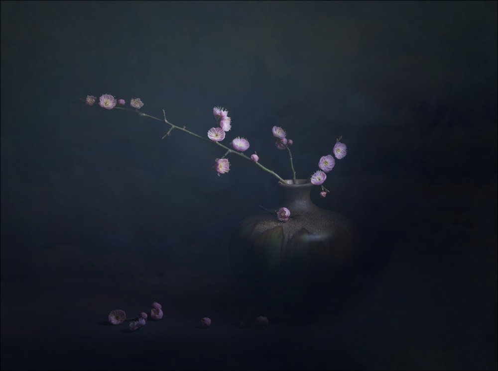 Naturaleza muerta con flores de ciruelo de John-Mei Zhong
