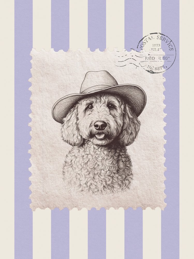 Sello de garabatos de vaqueros de Jolly and Dash