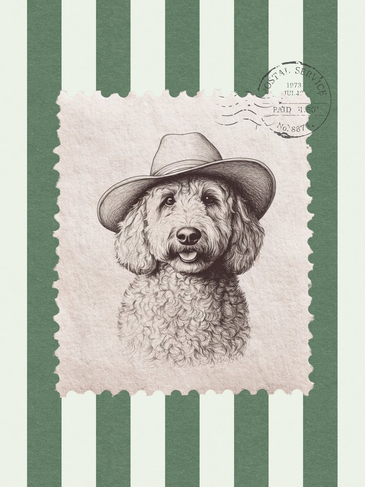 Sombrero de vaquero Doodle de Jolly and Dash