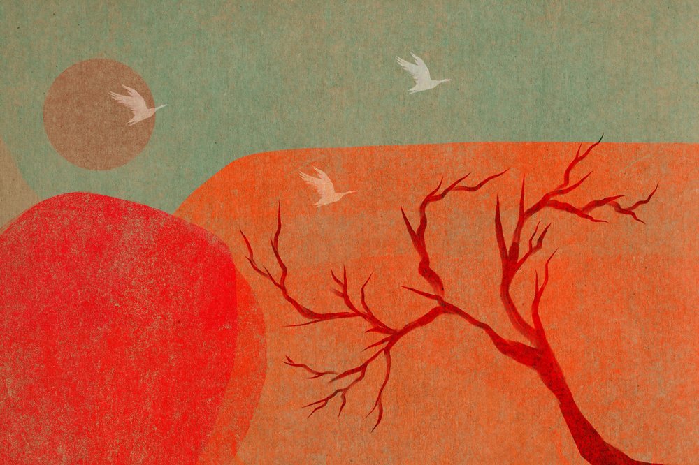Aves al atardecer en el desierto de Josie George