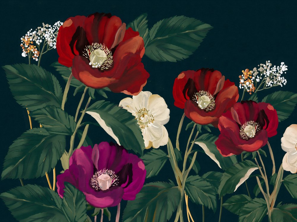 Elegantes amapolas oscuras de Josie George