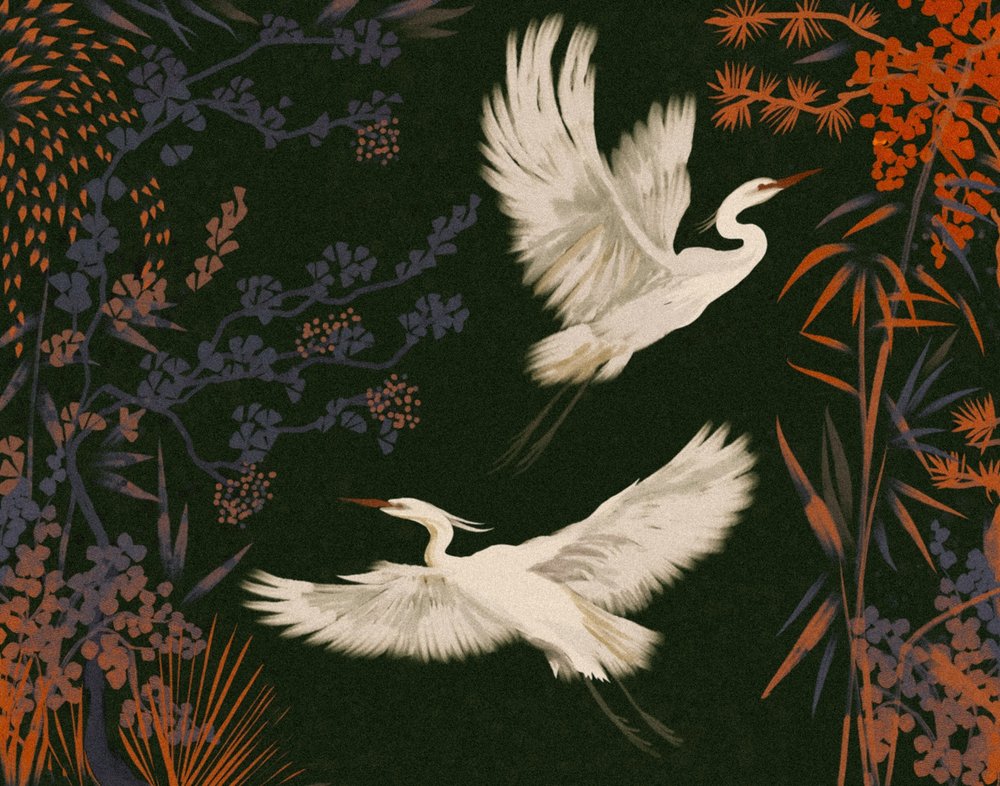 El vuelo de las garzas elegantes de Josie George