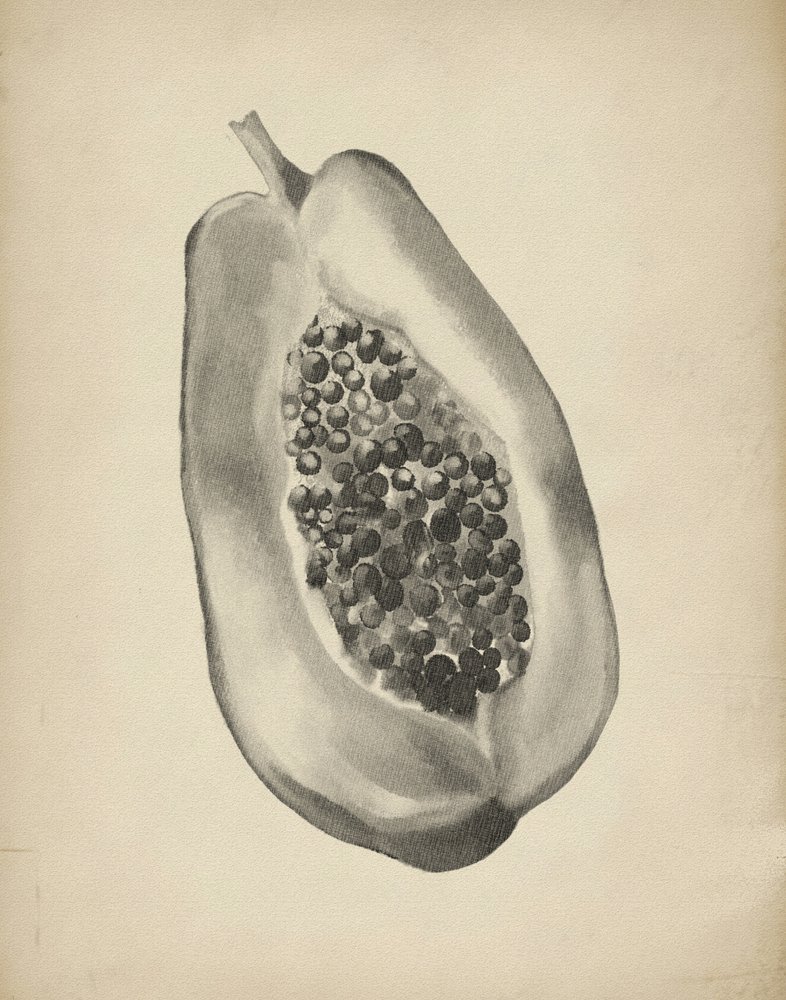 Media papaya tropical de Josie George
