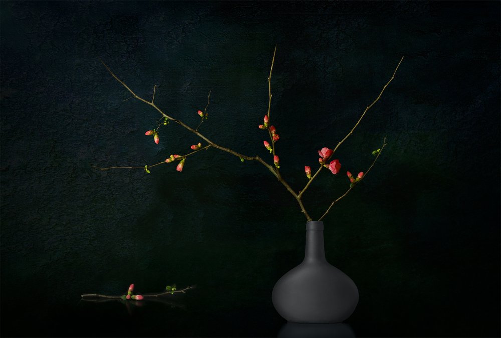 Ramas en flor oscuras de Juan Antonio Palacios