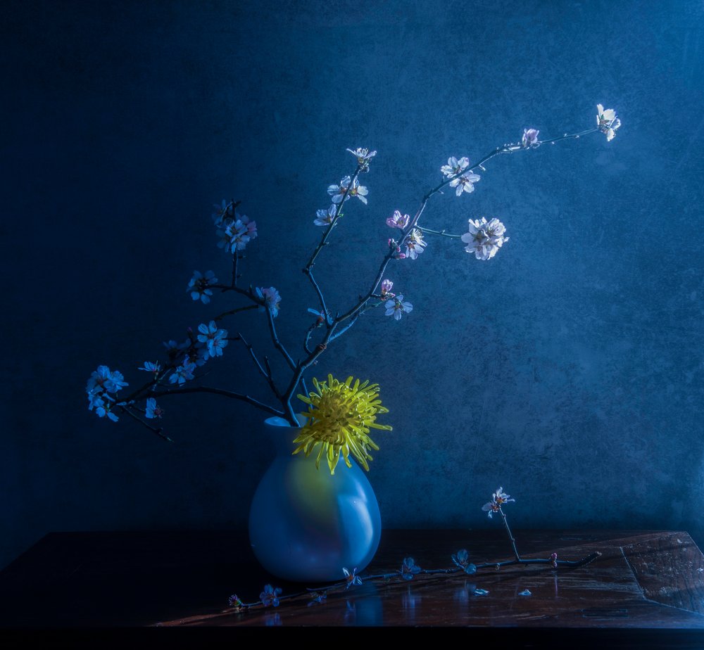 Flores azules y jarrón de Judy Tseng