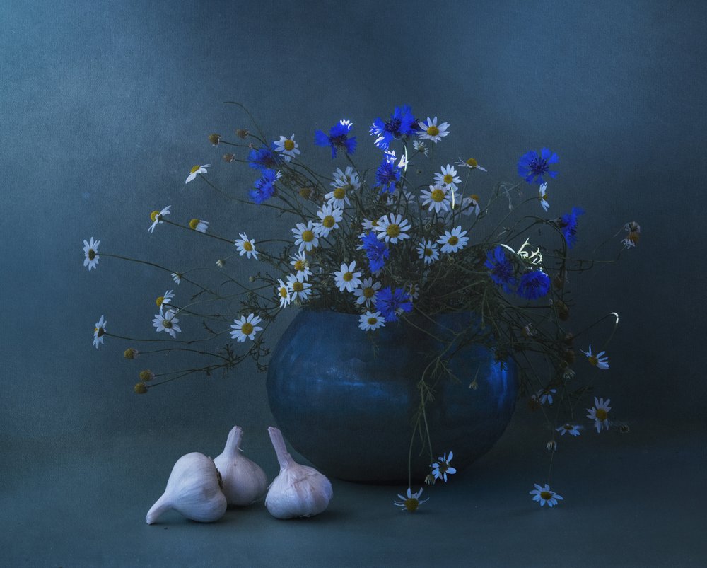 Naturaleza muerta con ajo y margaritas azules de Judy Tseng