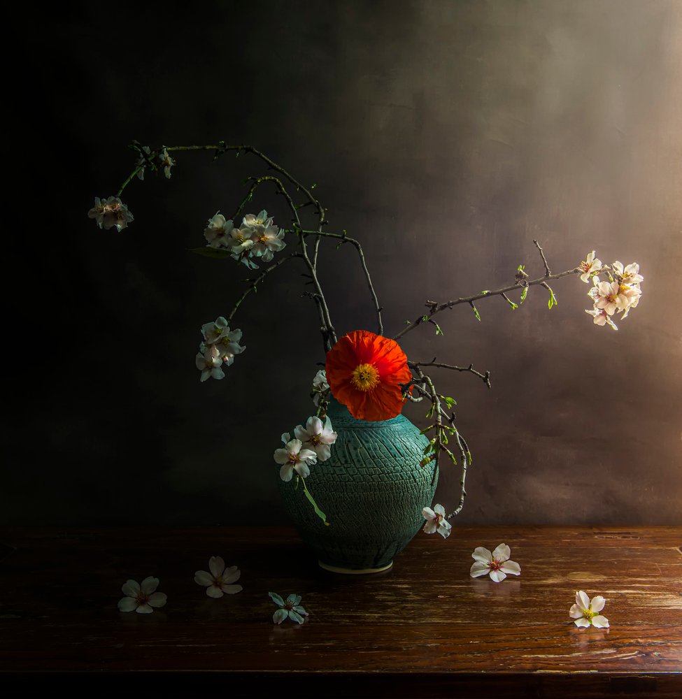 Flores de amapola melancólicas de Judy Tseng