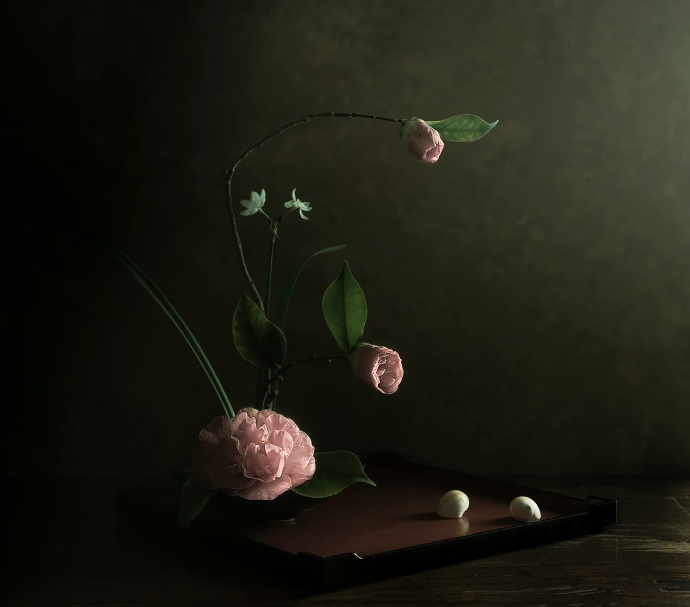 Ikebana de camelia rosa de Judy Tseng
