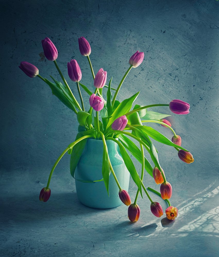 Tulipanes caídos de colores vivos de Judy Tseng
