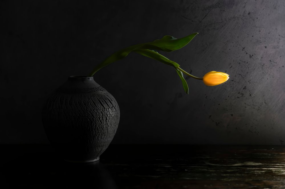 Naturaleza muerta con tulipanes amarillos de Judy Tseng