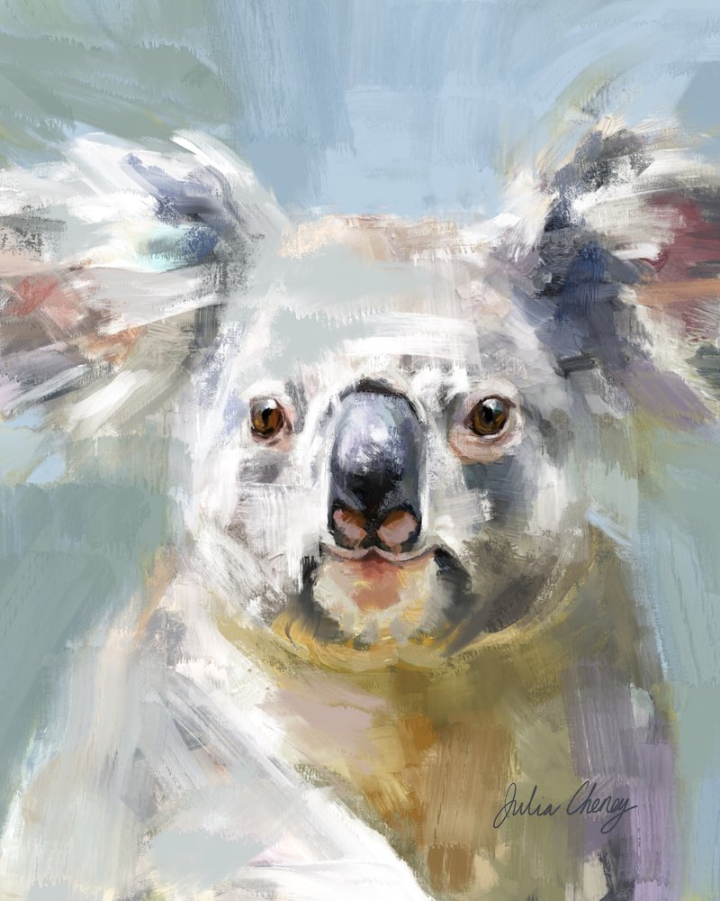 La tierna mirada del koala de Julia Cheney