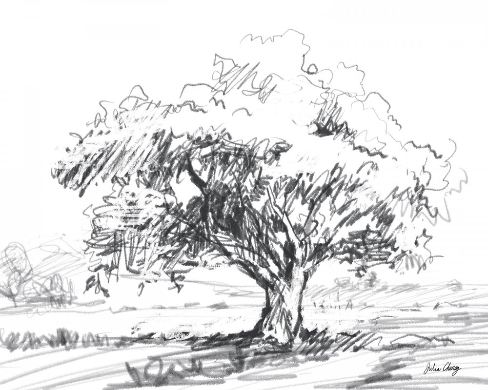 Dibujo rústico de un árbol de Julia Cheney