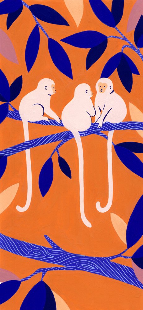 Monos arborícolas de colores de Julie Lesouef