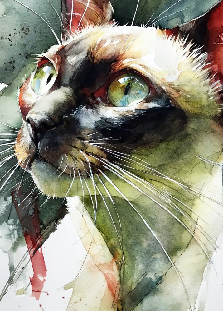 La mirada vibrante del gato siamés de Justyna Jaszke