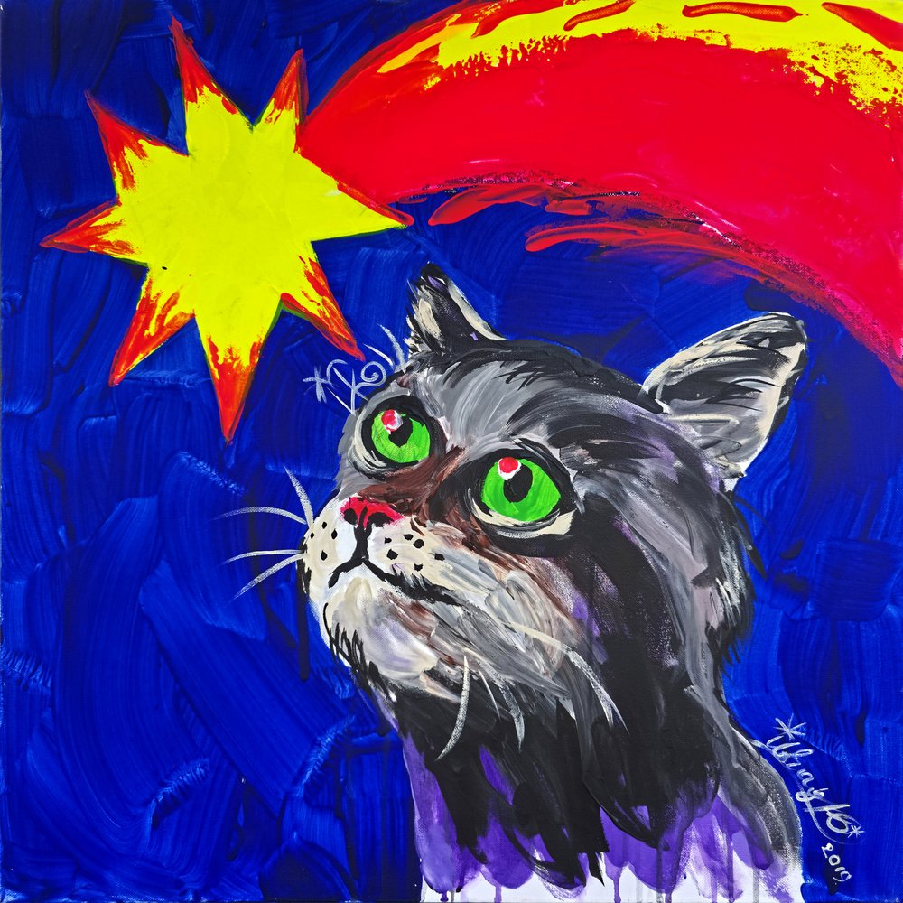 El gato y el cometa de Kanat Ibragimov