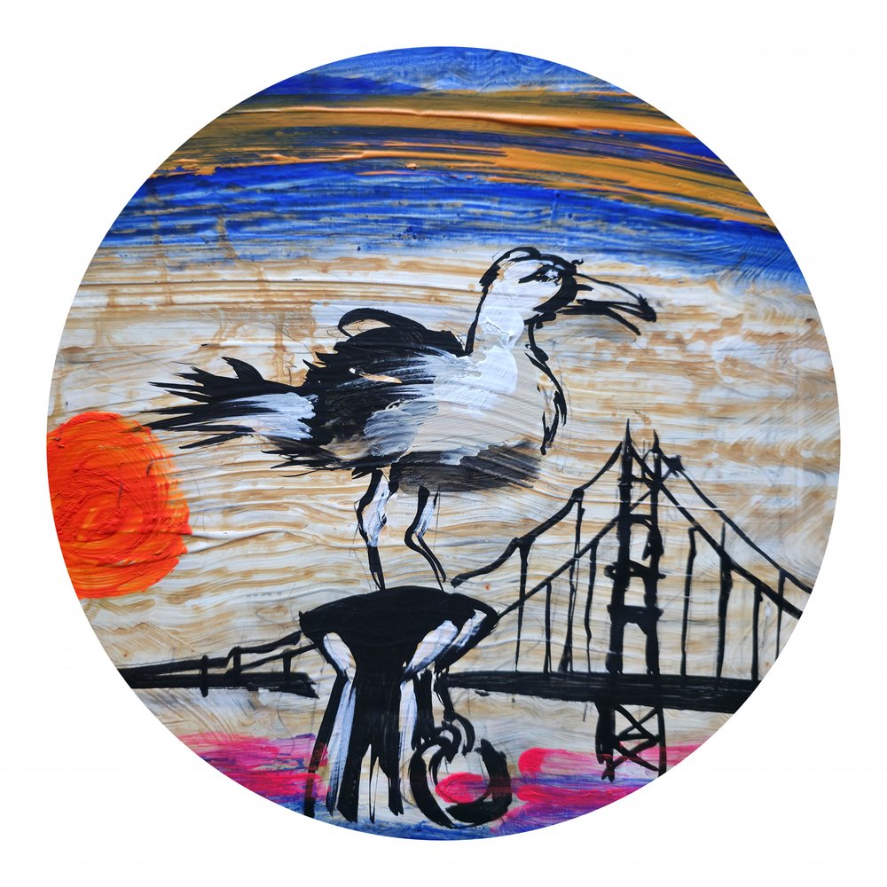 Observatorio de gaviotas del Golden Gate de Kanat Ibragimov