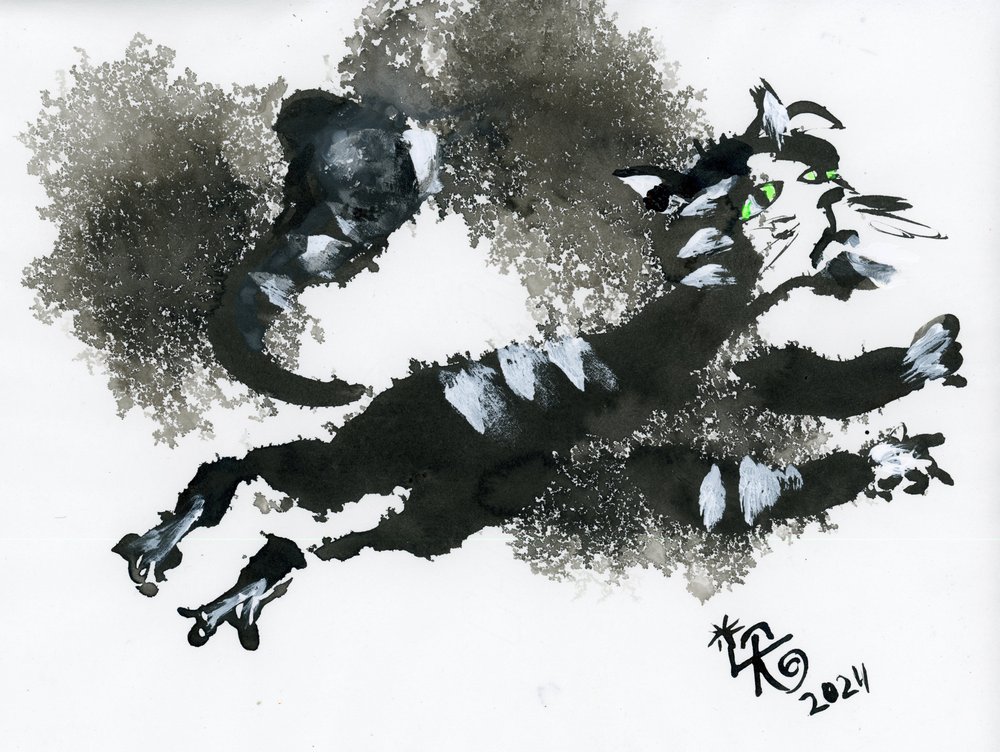 El gato de tinta que salta de Kanat Ibragimov