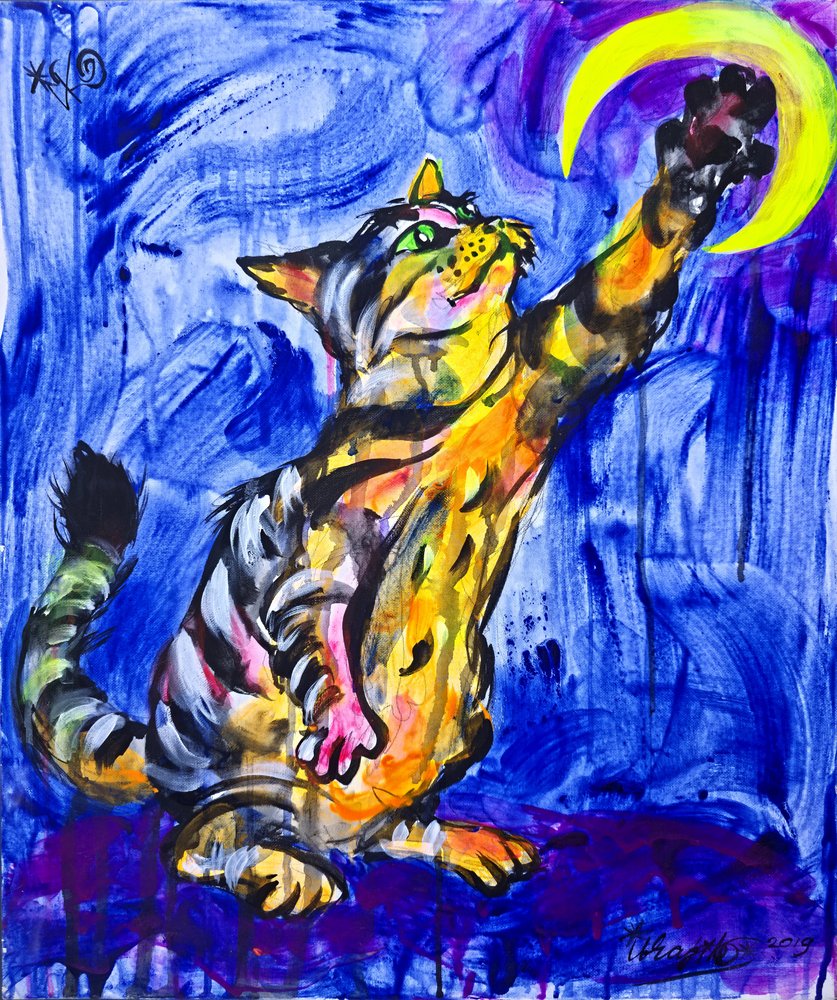 Gato juguetón y la luna de Kanat Ibragimov