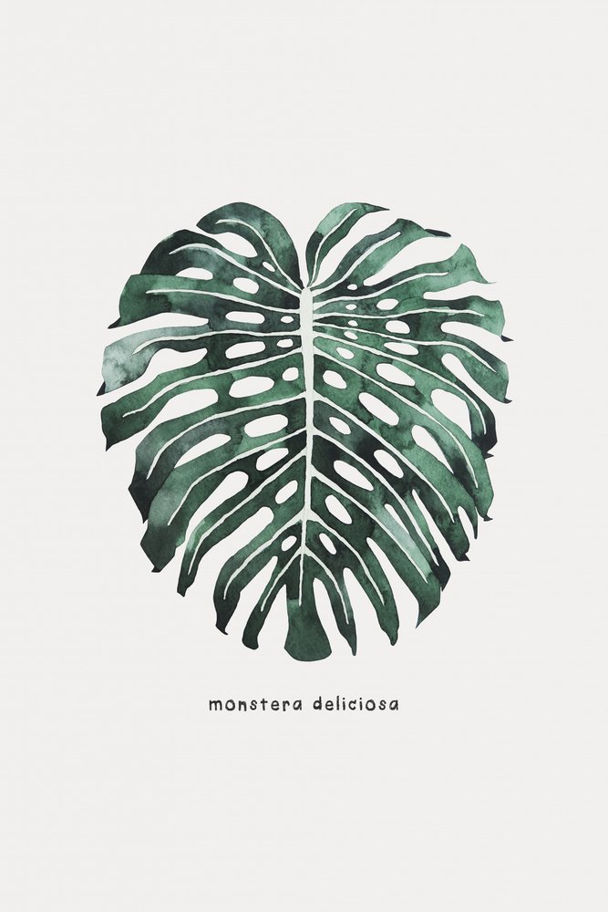 Hoja de monstera en acuarela de Karen Menzenbach