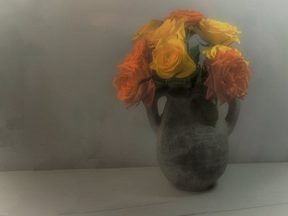 Rosas de color amarillo anaranjado suave de Karen Smalley