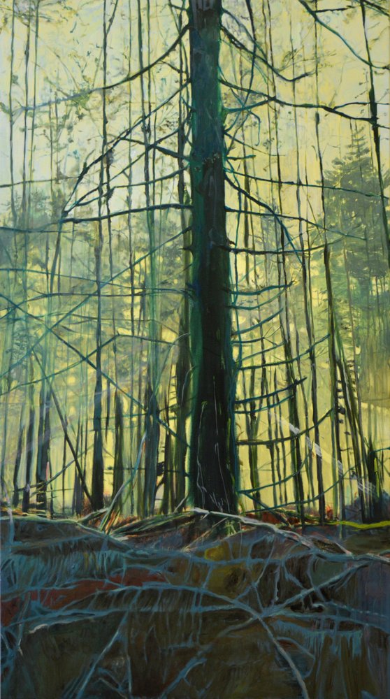 Luz del bosque etéreo de Karin Bos