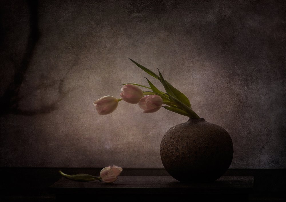 Elegantes tulipanes melancólicos de Katarina Holmström