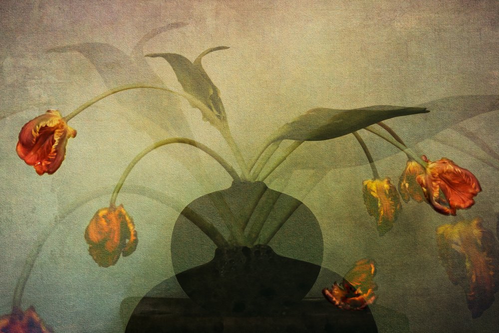 Bodegón con tulipanes desvaídos de Katarina Holmström