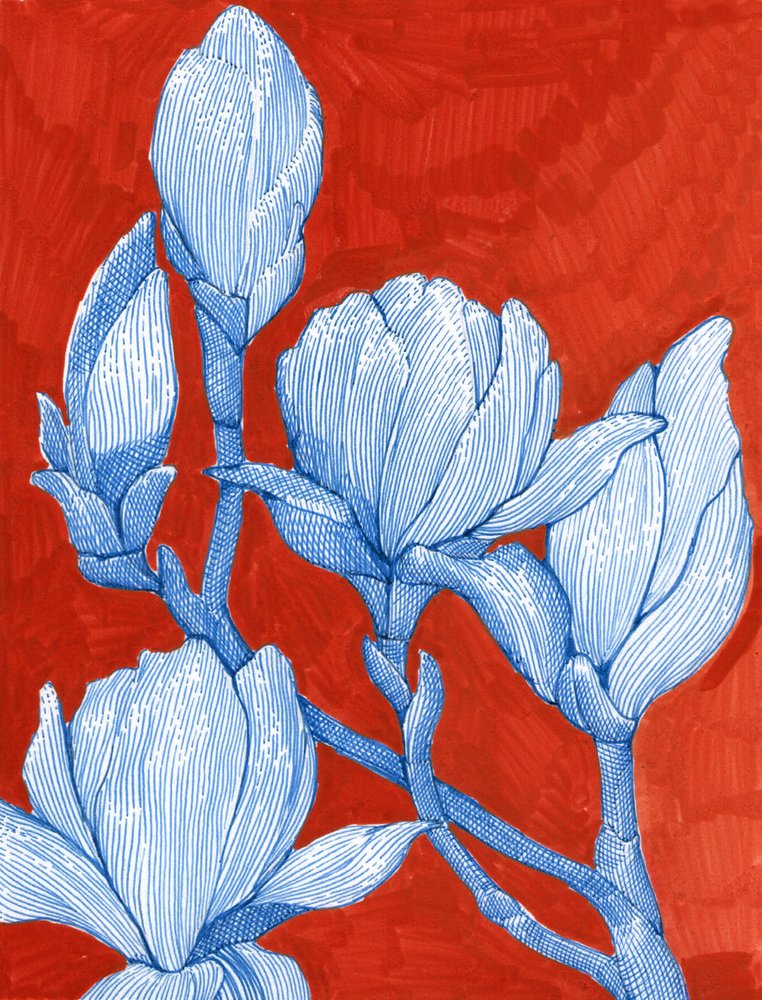 Magnolias azules intensas de Katie O'Shea