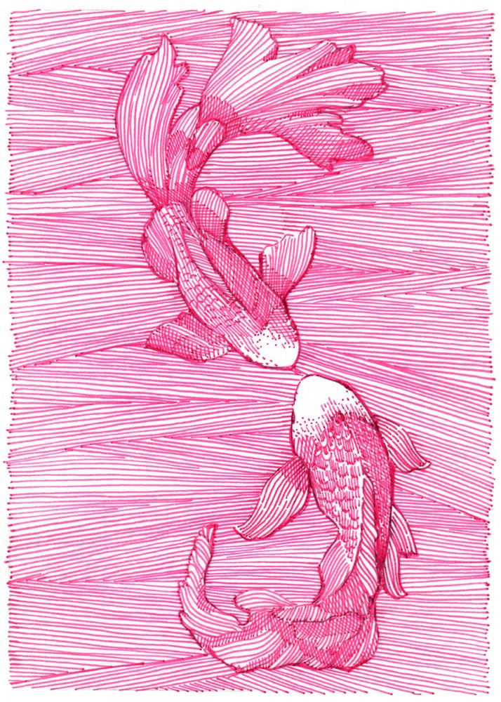 Danza de carpas koi rosas de Katie O'Shea