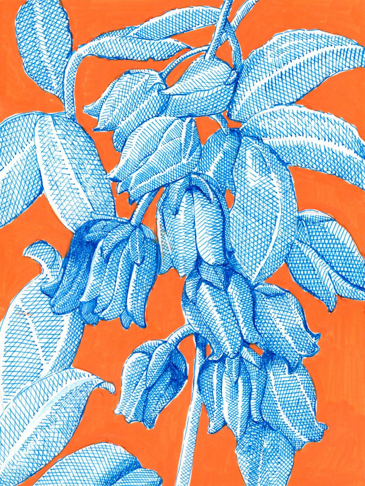 Motivos botánicos azules vibrantes de Katie O'Shea