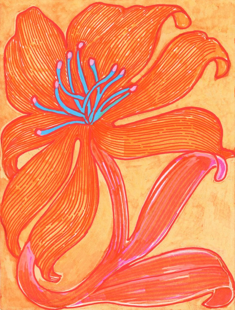 Lirio naranja vibrante de Katie O'Shea