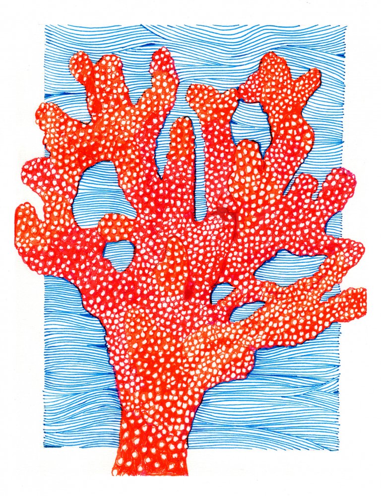 Coral rojo vibrante de Katie O'Shea