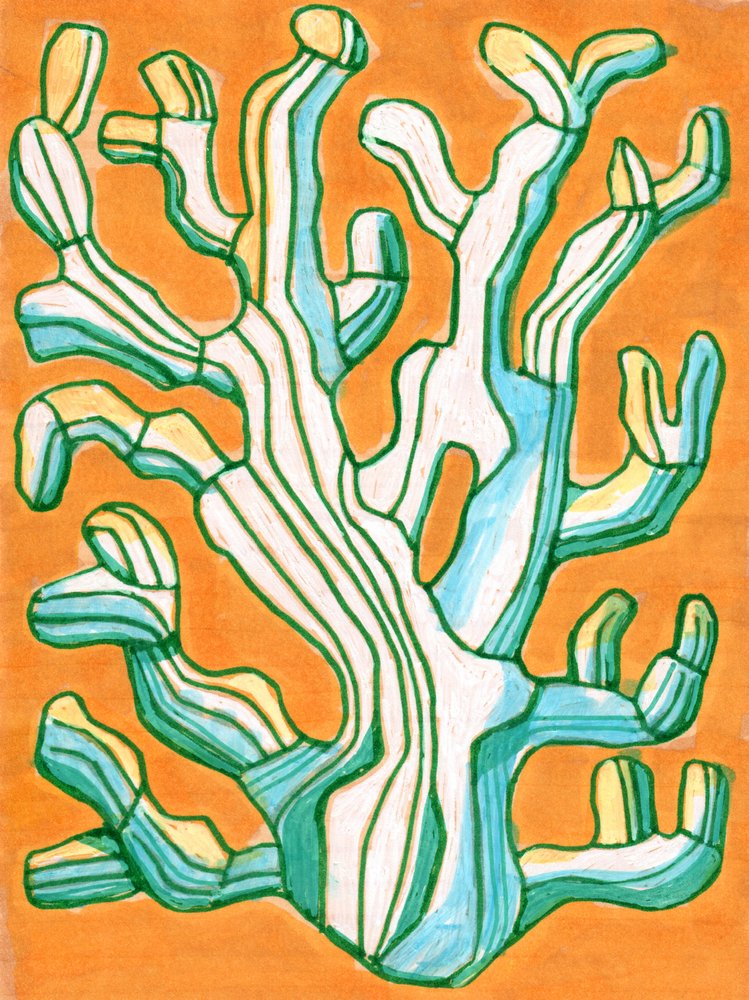 Coral rayado vibrante de Katie O'Shea